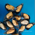 vente en gros chair de moules avec demi-coquillesfournisseur